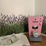 Appartamento: La Maison Verte Apartment *